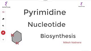 Pyrimidine nucleotide biosynthesis [upl. by Atnohs]