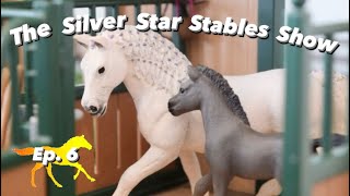 The Silver Star Stables Show  Episode 6 Schleich Horse RolePlay Series [upl. by Tallbot]