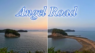 Walking a Disappearing Road in Japan  Shodoshima Island  Angel Road [upl. by Mit]