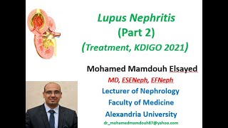 Lupus Nephritis treatment KDIGO 2021 [upl. by Nnanaej64]