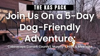 Join Us On a 5Day DogFriendly Adventure Cabinscape Murphys Point PP amp Mew Lake Algonquin PP [upl. by Ennovad]