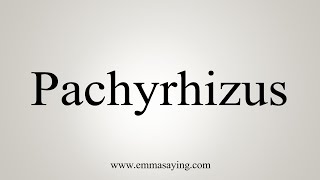 How To Say Pachyrhizus [upl. by Crow652]