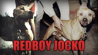 BLOODLINES  REDBOY JOCKO  A QUICK LOOK [upl. by Kirby]