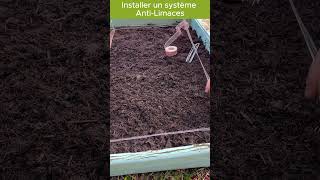 Installer un système anti limaces naturel jardinage potager garden jardin gardening bio [upl. by Lotti]