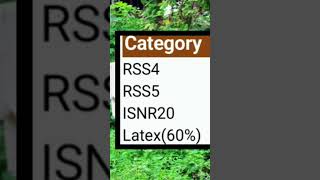 kerala rubber sheet price today [upl. by Calondra]