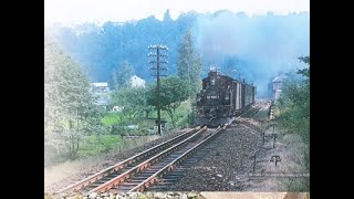 Spurwechselbahnhof Wolkenstein Zschopautalbahn Schmalspurbahn Jöhstadt Dreischienengleis [upl. by Hime]