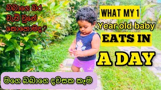 What my baby eats in a day  1 years old weight gain food 🥘 [upl. by Tonye]