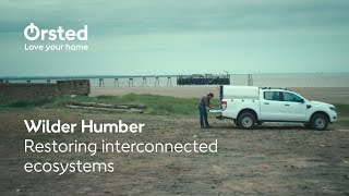 Wilder Humber Restoring interconnected ecosystems [upl. by Opportuna]