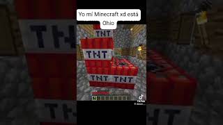 MINECRAFT OHIO [upl. by Nylatsirhc]