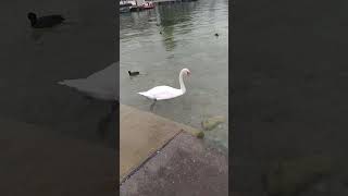 lac Annecy France 🥰 [upl. by Loveridge533]