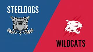 Sheffield Steeldogs vs Swindon Wildcats 17th April 2022 NIHL playoffs [upl. by Acimehs]