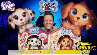 4 Little Live Pets My Puppy’s Home Build Home amp Puppy Magically Arrives Adventure Fun Toy review [upl. by Ettenyar]