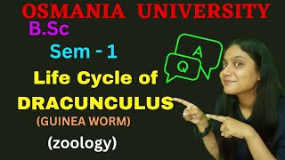 Life Cycle Of DRACUNCULUS GUINEA WORM  sem  1  BSc  zoology Humera [upl. by Kattie]