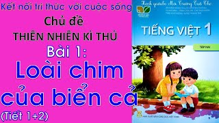 Tiếng Việt lớp 1 Tập 2  Bài 1 loài chim của biển cả Tiết 12 Kết nối tri thức với cuộc sống [upl. by Nannarb]