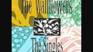 The Wallflowers  Caution To The Wind [upl. by Naji]