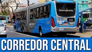 Corredor Central de Campinas  Movimentação de Ônibus 100 [upl. by Timothee344]