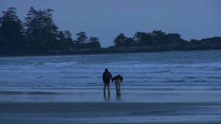 Storm Watching at the Wickaninnish Inn Tofino  British Columbia Canada [upl. by Enad]