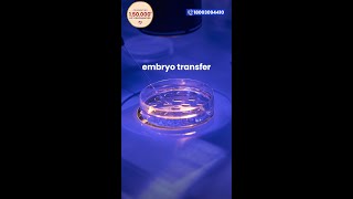 Is the embryo transfer procedure that simple [upl. by Ahsain]