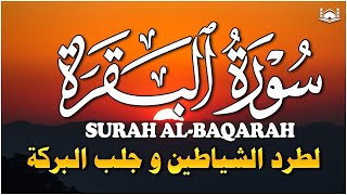 سورة البقرة كاملة  رقية للبيت وعلاج للسحر  تلاوة تريح القلب والعقل Surah AlBaqara [upl. by Aerbua176]