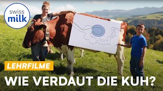 Vom Grasbüschel zum Kuhfladen Wie verdaut die Kuh  Lehrfilm  Swissmilk 2017 [upl. by Rehsu]