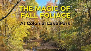 Magical Autumn Colors Fall Foliage at Colonial Lake Park [upl. by Lanny]