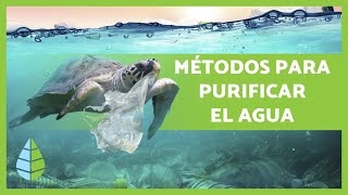 DESCONTAMINACIÓN del AGUA 💦 ¿Cómo se purifica el agua contaminada [upl. by Mitchell]