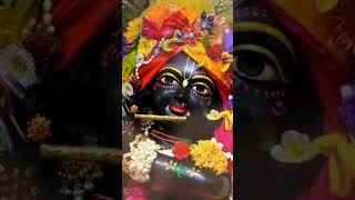 Jay Shri Krishna [upl. by Eojyllib440]