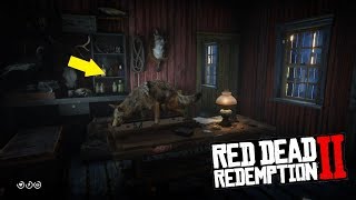 RDR 2  Как попасть в дом набивщика чучел Миссис Хоббс [upl. by Alonzo]