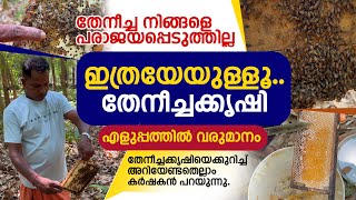 ഇത്രയേയുള്ളൂ തേനീച്ചക്കൃഷി തേനീച്ച നിങ്ങളെ പരാജയപ്പെടുത്തില്ല  How to Start a Honey Bee Farm [upl. by Euh]