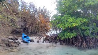 Kayaking amp Snorkeling at Bird Island in Egmont Grenada [upl. by Laroc]