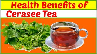 Health benefits of drinking cerasee tea [upl. by Lussi761]