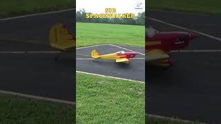 Sig 13 scale Spacewalker is an amazing rc plane [upl. by Filbert666]