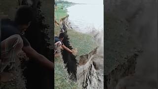 Karnali river cutting floodriver cute karnalishorts [upl. by Mikol458]