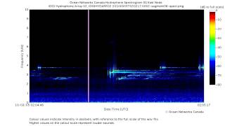 Powerful Sonar Pings and Sweeps in the Strait of Georgia [upl. by Ynahteb]