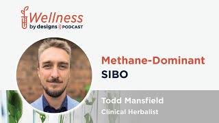 MethaneDominant SIBO with Todd Mansfield [upl. by Aed]