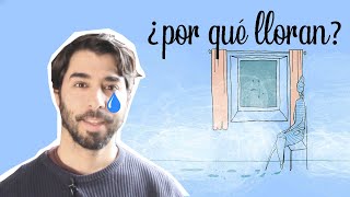 ¿Por qué LLORAN las VENTANAS 😭2 SOLUCIONES para EVITAR la HUMEDAD [upl. by Mathilda]