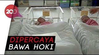 Wow 9 Bayi Ini Lahir di Tanggal Cantik 8818 di RS Cirebon [upl. by Rivkah]