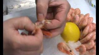 Grönlandgarnelen schälen  How to clean cold water prawns [upl. by Alfonzo]