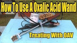 How To Use A Oxalic Acid Wand Treating With OAV [upl. by Anailli]