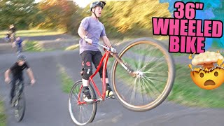 THE 36quot WHEELED BICYCLE  BIGGEST SHREDDABLE BIKE IN THE WORLD [upl. by Compte47]