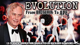 The Evolution Of Humans Video Animation From Bacteria To Ape  Narrated By Richard Dawkins [upl. by Penoyer]