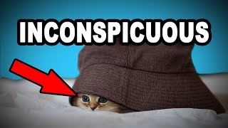 Learn English Words INCONSPICUOUS  Meaning Vocabulary with Pictures and Examples [upl. by Casi168]