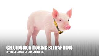 Geluidsmonitoring bij varkens  Welfare challenge  HAS Hogeschool [upl. by Edwards]