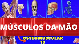 MÚSCULOS DA MÃO  ORIGEM INSERÇÃO AÇÃO  OSTEOMUSCULAR 13 [upl. by Tyoh989]