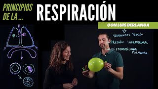 Ventilación pulmonar principios básicos de la respiración [upl. by Godewyn73]