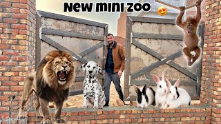 New Mini zoo Ka Gate Lg Giya😍 [upl. by Nalaf]