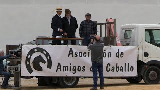 Exhibició de Cavalls Fira de LOlleria 2024 1 [upl. by Yddeg]