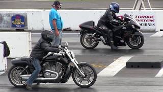 Hayabusa vs Harley Vrod  drag race [upl. by Searby395]