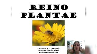 Reino Plantae  Briófitas e Pteridófitas  2° EM [upl. by Constantine]