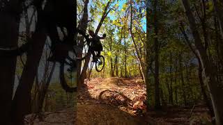 Pantiline Jumps at Lincoln Woods  MTB shorts [upl. by Pickar]